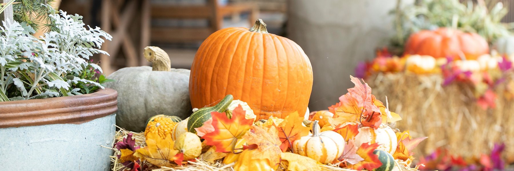 Offers At The Ritz-Carlton Dallas, Las Colinas